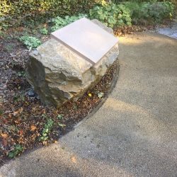 Image showing lime screed on interpretation stone