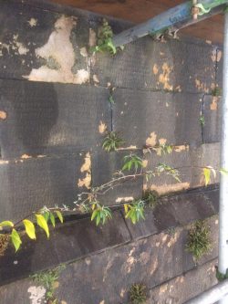 Image showing stone prior to repairs