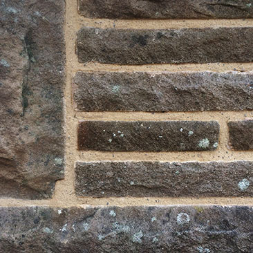 image showing close up of Lime Pointing