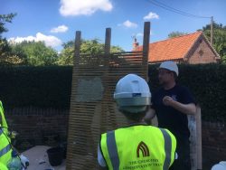 Lime Pointing