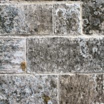 Image showing the new Lime Pointing showing the aggregates in the sands