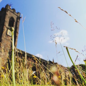 Image of St Mary's Church from the ground up, with greenery in the foreground and the Church Tower in the background