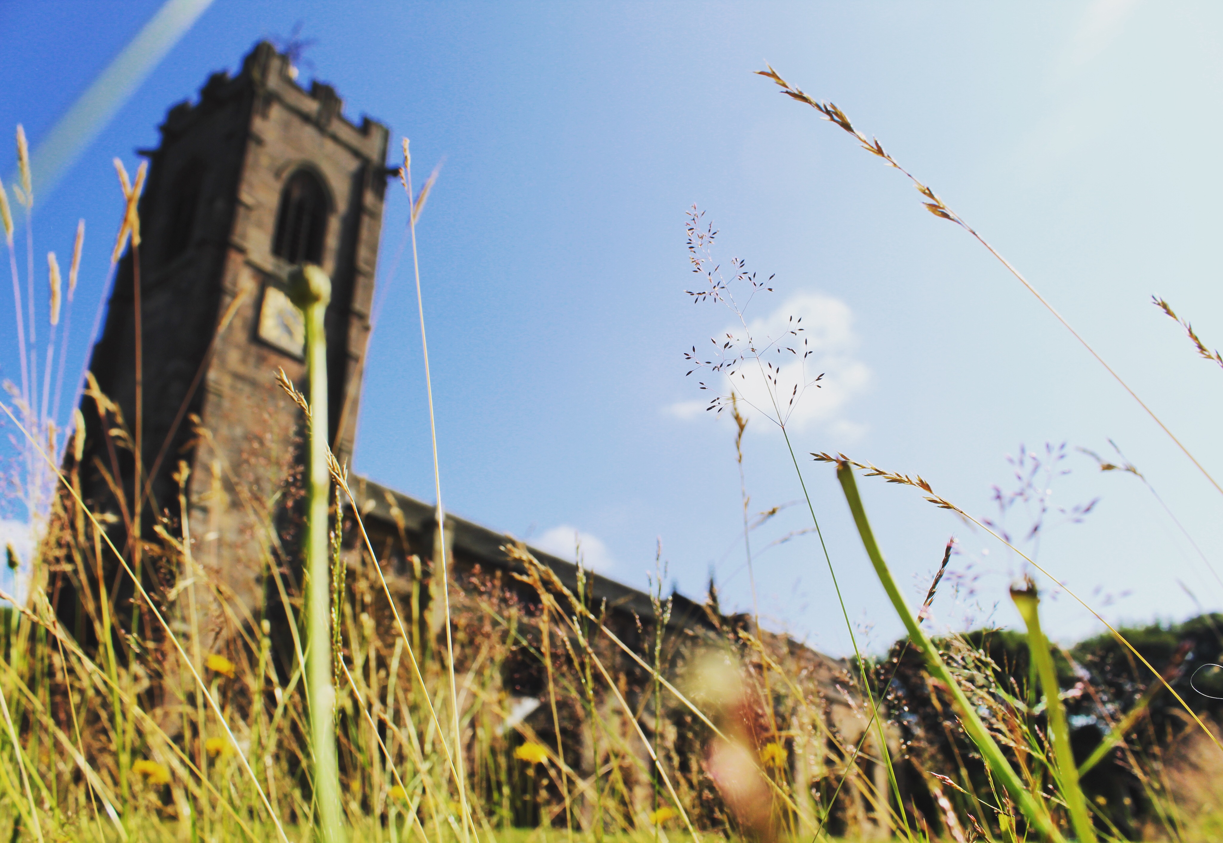 Image of St Mary's Church from the ground up, with greenery in the foreground and the Church Tower in the background